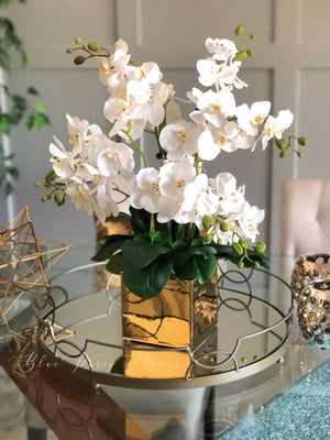White 8 Stems Phalaenopsis Orchid Arrangement, Real Touch Flower