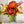 Fall or Thanksgiving Arrangement, Brown Peonies in Vase, Floral Decor Centerpiece, Faux Florals Artificial Flowers Silk Floral Decor