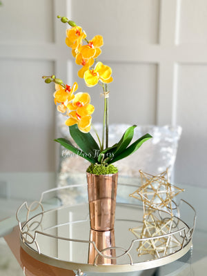 Elegant Yellow Double Stems Phalaenopsis Orchid Arrangement, French Country, Luxury Real Touch Flower in Vase Table Centerpiece Modern Decor