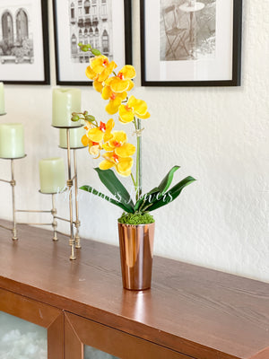 Elegant Yellow Double Stems Phalaenopsis Orchid Arrangement, French Country, Luxury Real Touch Flower in Vase Table Centerpiece Modern Decor