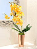 Elegant Yellow Double Stems Phalaenopsis Orchid Arrangement, French Country, Luxury Real Touch Flower in Vase Table Centerpiece Modern Decor