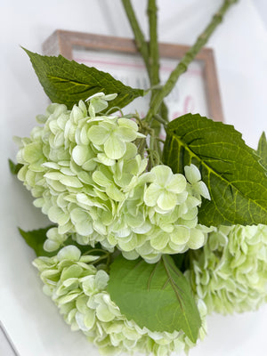 Light Green Real Touch Large Hydrangea | Extremely Realistic Luxury Quality Artificial Flower | Wedding/Home Decoration | Gifts | Decor Floral