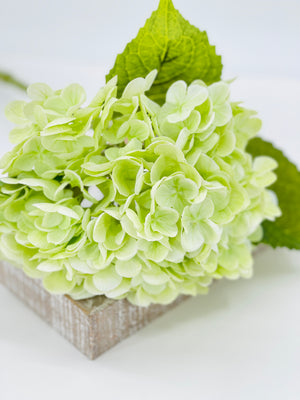 Light Green Real Touch Large Hydrangea | Extremely Realistic Luxury Quality Artificial Flower | Wedding/Home Decoration | Gifts | Decor Floral