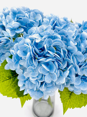 Blue Real Touch Large Hydrangea | Extremely Realistic Luxury Quality Artificial Flower | Wedding/Home Decoration | Gifts | Decor Floral