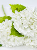 White Real Touch Large Hydrangea | Extremely Realistic Luxury Quality Artificial Flower | Wedding/Home Decoration | Gifts | Decor Floral