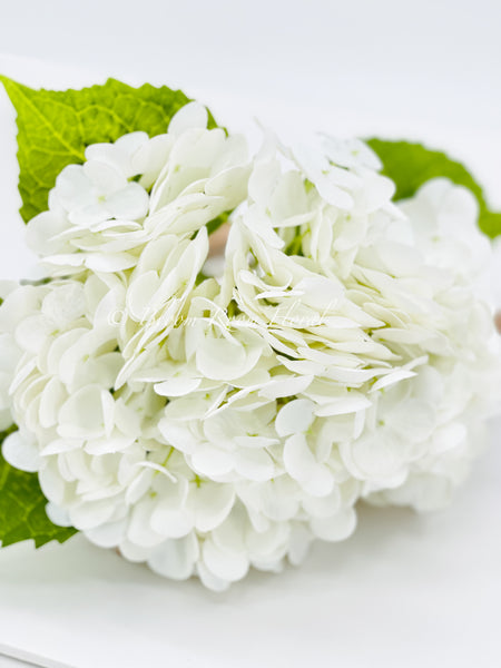 White Real Touch Large Hydrangea | Extremely Realistic Luxury Quality Artificial Flower | Wedding/Home Decoration | Gifts | Decor Floral