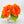 Tangerine Orange Fall REAL TOUCH Hydrangeas in Vase Artificial Faux Flower Arrangement French Floral Centerpiece Flower Faux Flower in Vase Home Decor