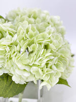 Light Green REAL TOUCH Hydrangeas in Vase Artificial Faux Flower Arrangement French Floral Centerpiece Flower Faux Flower in Vase Home Decor