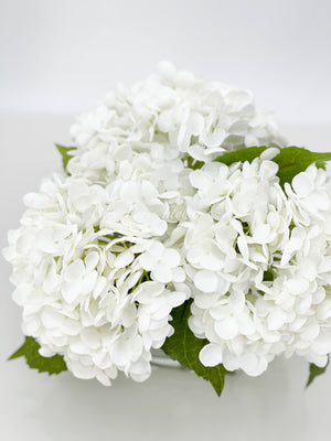 White REAL TOUCH Hydrangeas in Vase Artificial Faux Flower Arrangement French Floral Centerpiece Flower Faux Flower in Vase Home Decor