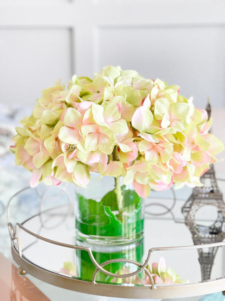 X-Large Head French Green Pink Hydrangea in Vase