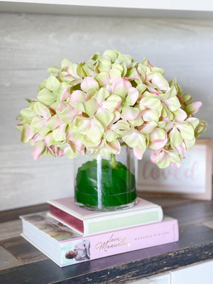 X-Large Head French Green Pink Hydrangea in Vase