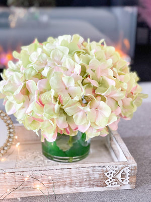 X-Large Head French Green Pink Hydrangea in Vase