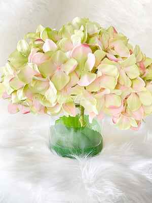 X-Large Head French Green Pink Hydrangea in Vase