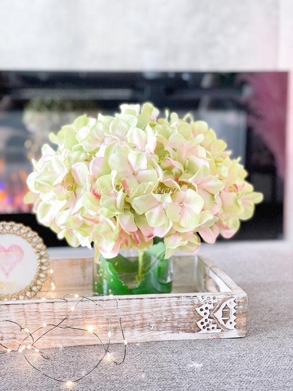 X-Large Head French Green Pink Hydrangea in Vase