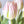 20” Blush Pink Real Touch Tulips Modern Arrangement Centerpiece | Real Touch Artificial Faux