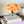 Tangerine Orange Rose Arrangement Real Touch, Faux Flowers, Artificial Floral Arrangement in Glass Vase by Blue Paris