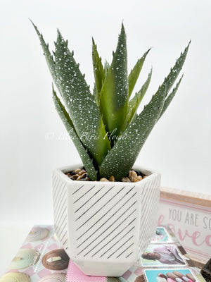 Succulents in White Vase, Faux Artificial Greens Succulents Plants Table Centerpiece Floral Decor Centerpiece Faux Florals