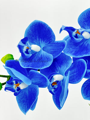 Real Touch Elegant Sky Blue Single Stem Phalaenopsis Orchid Arrangement, French Country Luxury Flower in Vase Table Centerpiece Modern Decor