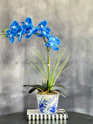 Real Touch Elegant Sky Blue Single Stem Phalaenopsis Orchid Arrangement, French Country Luxury Flower in Vase Table Centerpiece Modern Decor
