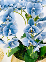Tall Blue 5 Stems Phalaenopsis Orchid Arrangement, Real Touch Flower in Vase | Elegant Table Centerpiece | Floral Decor | Flower Arrangement