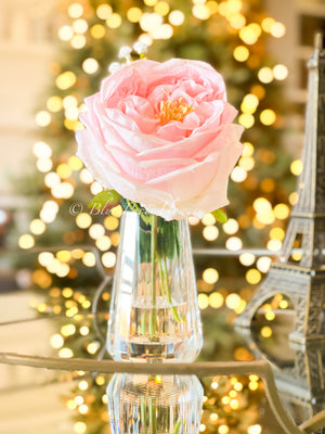 Pink Austin Rose Arrangement | Real Touch | French Country | Artificial Faux Forever Flowers in Crystal Glass Vase Home Decor by Blue Paris