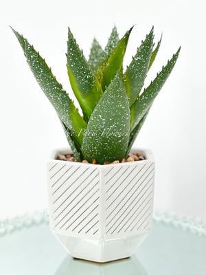 Succulents in White Vase, Faux Artificial Greens Succulents Plants Table Centerpiece Floral Decor Centerpiece Faux Florals