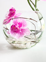 Magenta Pink 3 Stems Phalaenopsis Orchid Arrangement, Real Touch Flower in Glass Vase | Table Centerpiece | Floral Decor Flower Arrangement