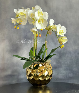 Ivory White 3 Stems Phalaenopsis Orchid Arrangement, Real Touch Flower in Gold Vase | Table Centerpiece | Floral Decor | Flower Arrangement