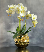 Ivory White 3 Stems Phalaenopsis Orchid Arrangement, Real Touch Flower in Gold Vase | Table Centerpiece | Floral Decor | Flower Arrangement