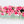 Modern Long Pink Rose Peony Arrangement Artificial Faux Centerpiece Floral Flower Arrangement Silk Flowers Glass Vase French Decor