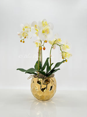 Ivory White 3 Stems Phalaenopsis Orchid Arrangement, Real Touch Flower in Gold Vase | Table Centerpiece | Floral Decor | Flower Arrangement