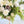 Winter French Elegant Real Touch Artificial Flower Arrangement-Christmas Faux Centerpiece-Flowers- White Roses Flower Centerpiece Gift-Decor