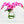 Modern Magenta Pink 2 Stems Phalaenopsis Orchid Arrangement, Real Touch Flower in Vase | Table Centerpiece | Floral Decor Flower Arrangement
