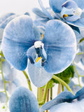 Tall Blue 5 Stems Phalaenopsis Orchid Arrangement, Real Touch Flower in Vase | Elegant Table Centerpiece | Floral Decor | Flower Arrangement