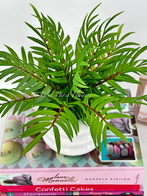 Green Ferns in White Ceramic Vase, Faux Artificial Greens Succulents Plants Table Centerpiece Floral Decor Centerpiece Faux Florals