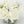 Real Touch White Roses Arrangement in Vase, French Country Artificial Flowers Faux Floral Home Decor Realistic Floral Arrangement Blue Paris