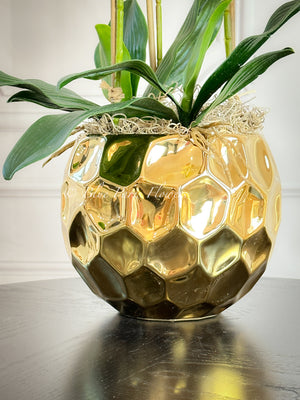 Ivory White 3 Stems Phalaenopsis Orchid Arrangement, Real Touch Flower in Gold Vase | Table Centerpiece | Floral Decor | Flower Arrangement