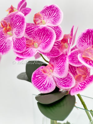Modern Magenta Pink 2 Stems Phalaenopsis Orchid Arrangement, Real Touch Flower in Vase | Table Centerpiece | Floral Decor Flower Arrangement