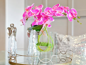 Modern Magenta Pink 2 Stems Phalaenopsis Orchid Arrangement, Real Touch Flower in Vase | Table Centerpiece | Floral Decor Flower Arrangement