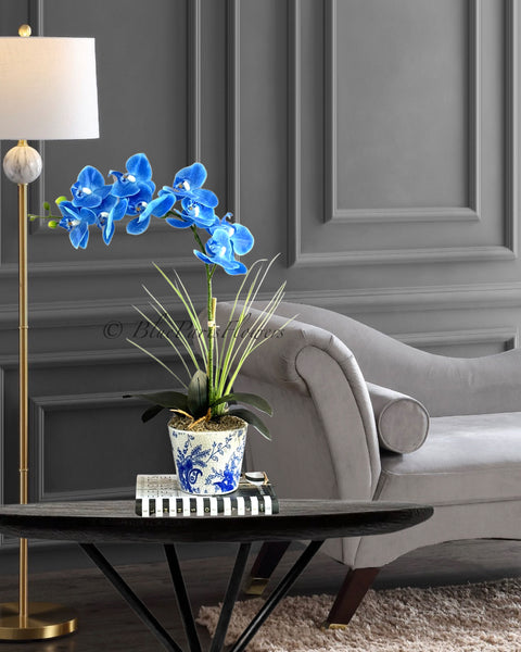 Real Touch Elegant Sky Blue Single Stem Phalaenopsis Orchid Arrangement, French Country Luxury Flower in Vase Table Centerpiece Modern Decor