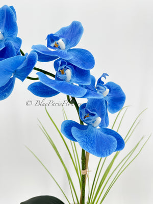 Real Touch Elegant Sky Blue Single Stem Phalaenopsis Orchid Arrangement, French Country Luxury Flower in Vase Table Centerpiece Modern Decor