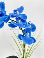 Real Touch Elegant Sky Blue Single Stem Phalaenopsis Orchid Arrangement, French Country Luxury Flower in Vase Table Centerpiece Modern Decor