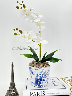 Real Touch Elegant White Double Stems Phalaenopsis Orchid Arrangement, French Country Luxury Flower in Vase Table Centerpiece Modern Decor