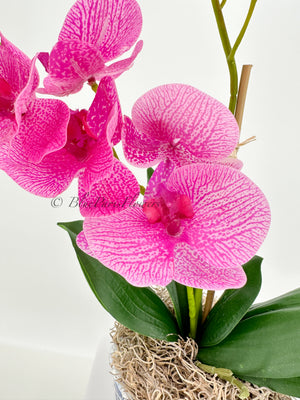 Real Touch Elegant Magenta Double Stems Phalaenopsis Orchid Arrangement, French Country Luxury Flower in Vase Table Centerpiece Modern Decor