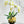 Ivory White 3 Stems Phalaenopsis Orchid Arrangement, Real Touch Flower in Gold Vase | Table Centerpiece | Floral Decor | Flower Arrangement