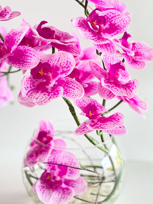 Magenta Pink 3 Stems Phalaenopsis Orchid Arrangement, Real Touch Flower in Glass Vase | Table Centerpiece | Floral Decor Flower Arrangement