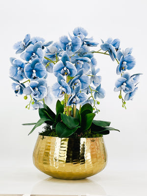Tall Blue 5 Stems Phalaenopsis Orchid Arrangement, Real Touch Flower in Vase | Elegant Table Centerpiece | Floral Decor | Flower Arrangement