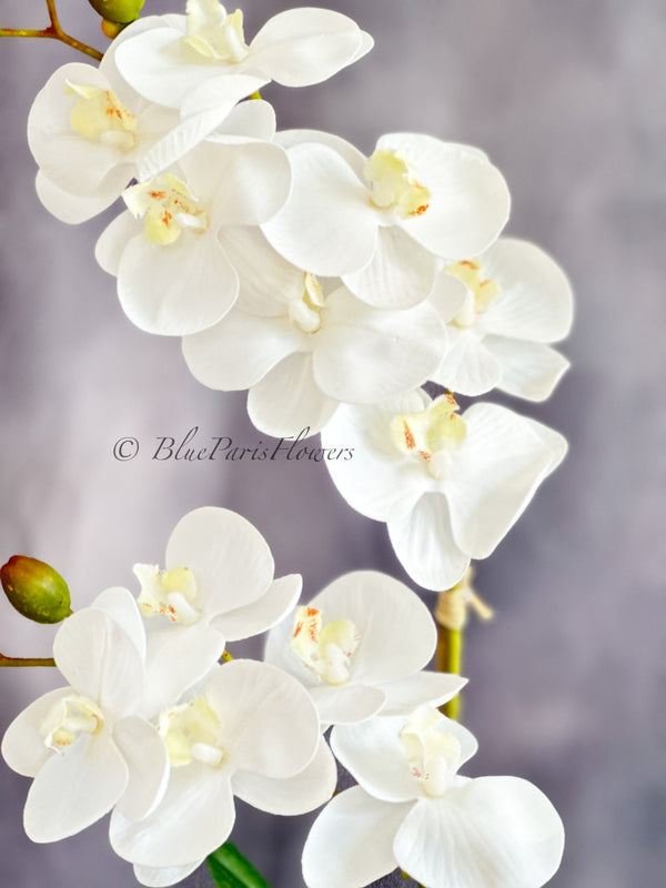 Real Touch Elegant White Double Stems Phalaenopsis Orchid Arrangement, French Country Luxury Flower in Vase Table Centerpiece Modern Decor