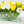 Modern Long Yellow White REAL TOUCH Tulip Arrangement Artificial Faux Centerpiece Floral Flower Arrangement Flowers Glass Vase French Decor