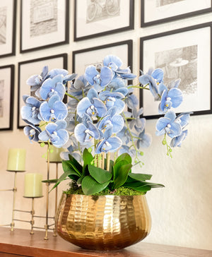 Tall Blue 5 Stems Phalaenopsis Orchid Arrangement, Real Touch Flower in Vase | Elegant Table Centerpiece | Floral Decor | Flower Arrangement
